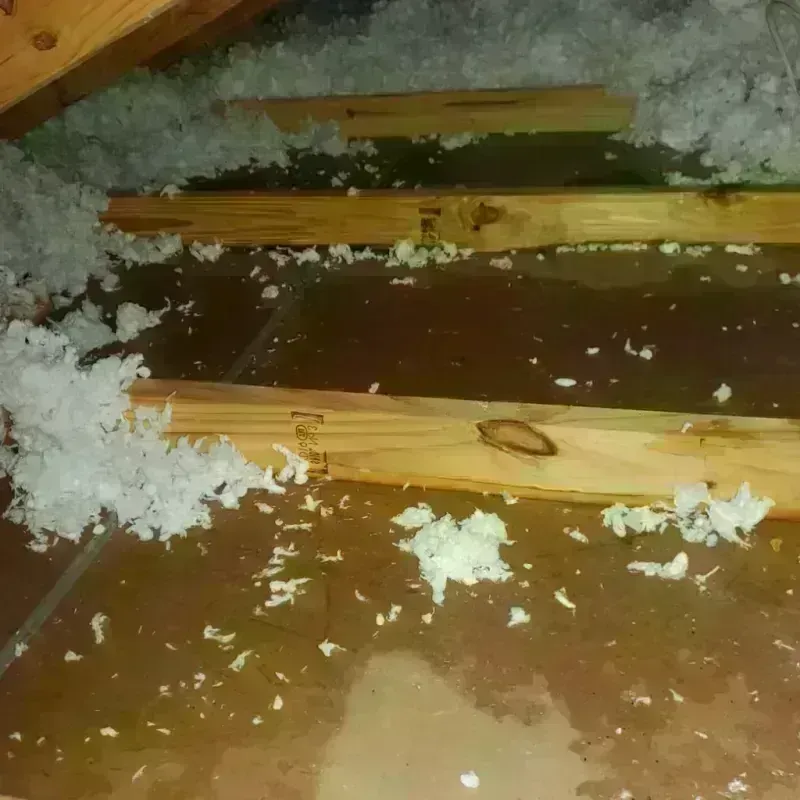 Attic Water Damage in Chickasaw County, MS