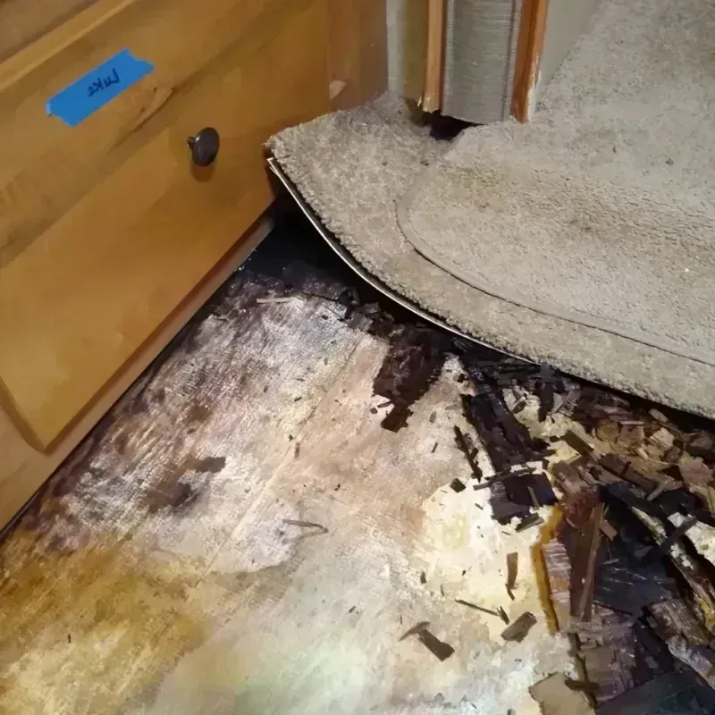 Wood Floor Water Damage in Chickasaw County, MS